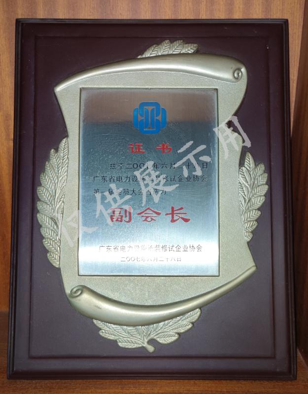 广东省电力设施承装修试企业协会副会长2